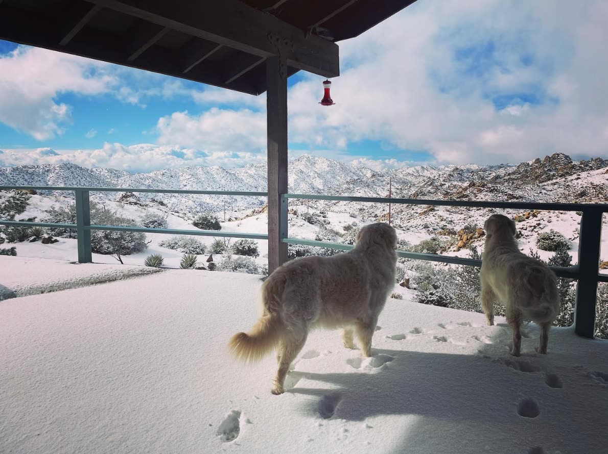 The ESCAPE compound under a rare desert snow